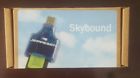 Dskyg241 Jeppesen Jeppensen Usb Skybound