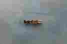 030-01107-xxxx Kt-76a Same As Bendix King Gold Connector Pins Roll Of 100 For Kx155 Ky-196 Etc