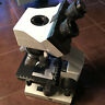 Omax Lab Led Binocular Compound Microscope