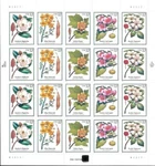 Us #3193-3197 Mnh M/s 1998 Flowering Tree Magnolia Poplar Dogwood Pos 5 B22222. Fixed Price $43.99.
