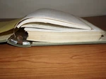 Bendix RDR-1400B IN2025A Maintenance Manual. Fixed Price $75.00.